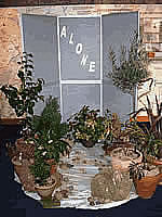 Picture, Garden Display